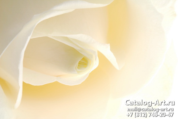 Натяжные потолки с фотопечатью - Белые розы 22